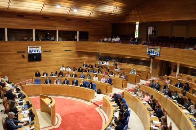  Proposicións non de lei aprobadas polo Pleno do Parlamento de Galicia o 6  de novembro  de 2024